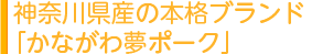 神奈川県産の本格ブランド「かながわ夢ポーク」