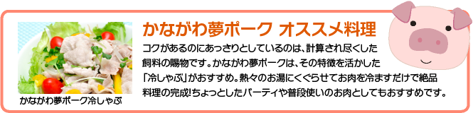 レシピ