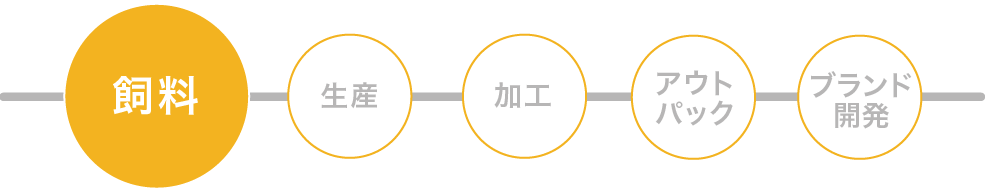 飼料