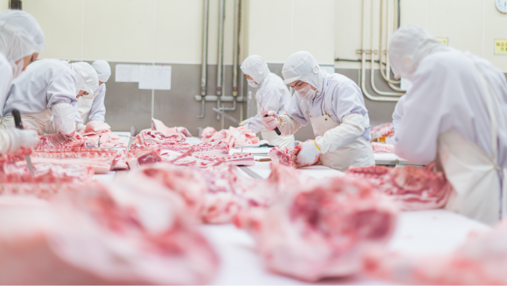 横浜加工場の食肉加工室