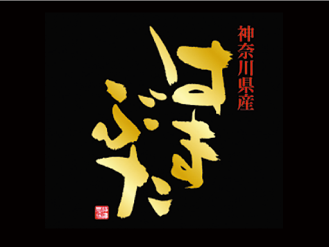 神奈川県産　はまぶた